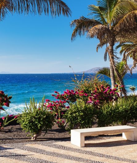 Eine weiße Bank steht vor blühenden rosa Sträuchern und Palmen an einer Promenade mit Blick auf das tiefblaue Meer unter blauem Himmel. Eine weiße Bank steht vor blühenden rosa Sträuchern und Palmen an einer Promenade mit Blick auf das tiefblaue Meer unter blauem Himmel.